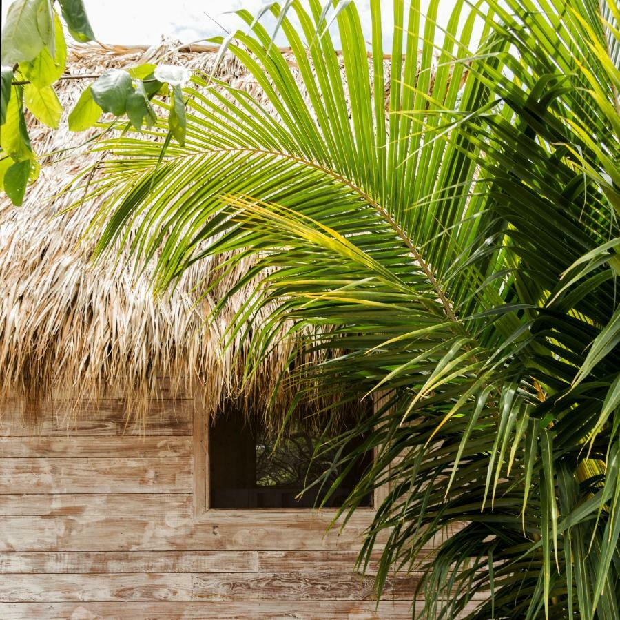 Suyo Cabanas Popoyo | Hotel Suyo El Limón Exterior foto